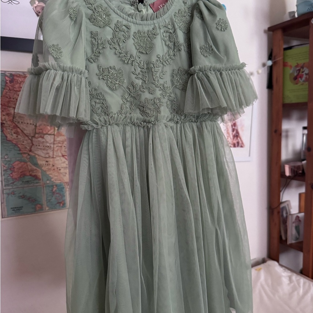 JessaKae Sage Green Embroidered Tulle Party Dress